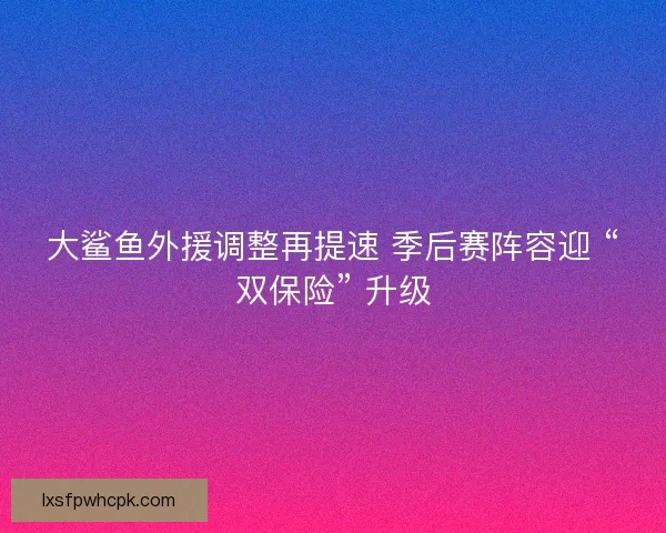 大鲨鱼外援调整再提速 季后赛阵容迎 “双保险” 升级