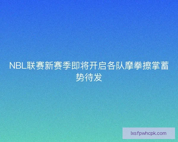 NBL联赛新赛季即将开启各队摩拳擦掌蓄势待发
